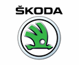 Vehicle's Electrical Datasheets and Schematics • Portuguese Translation for Skoda