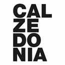 Portuguese Technical Translation